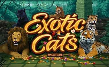 экзотические кошки онлайн слот